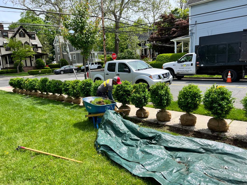 WhatsApp Image 2026-01-12 at 22.21.57 (1)